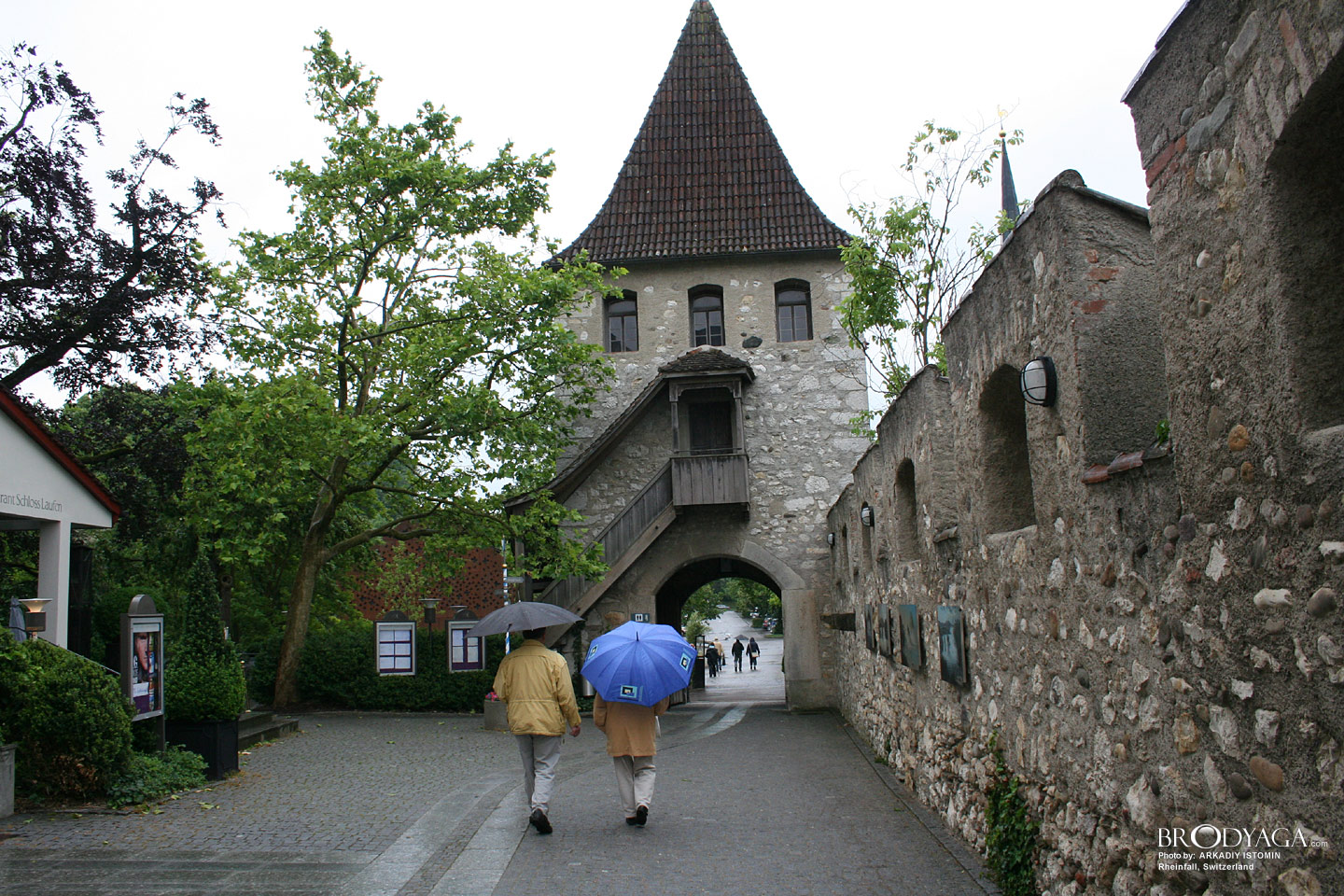 Rheinfall